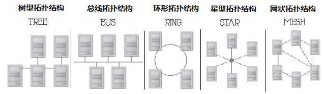 计算机知识点：网络拓扑结构与计算机病毒